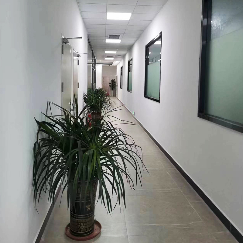 公司實(shí)力 (5)